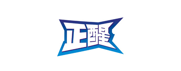 浦天下旗子品牌_正醒_LOGO设计